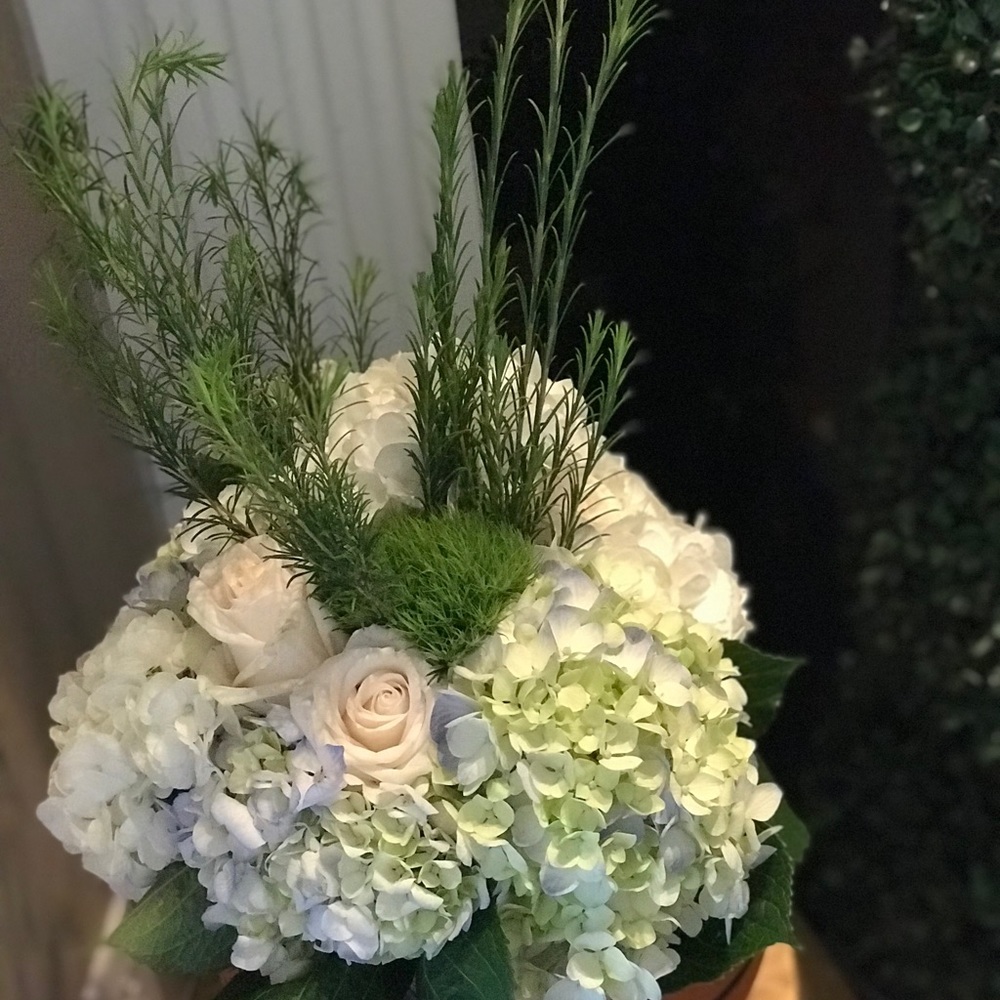 Meet your Posher, Dee